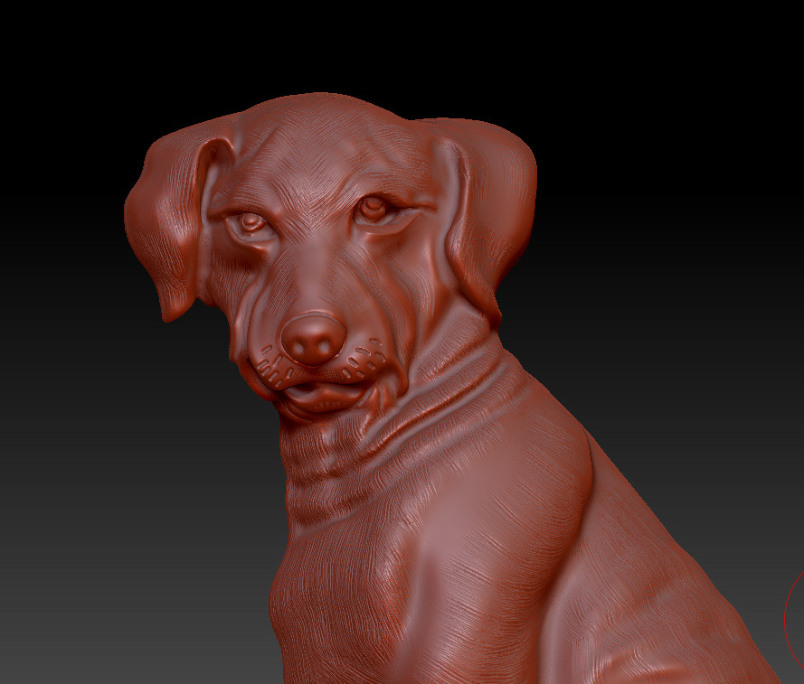 Dog -Labrador 3D print model_4