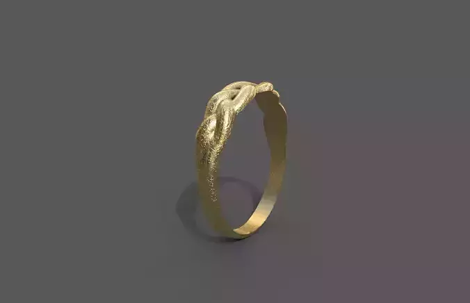 High-Quality 3D Ring Model