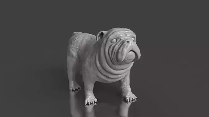 Pet World STL Bulldog Print Ready Toy