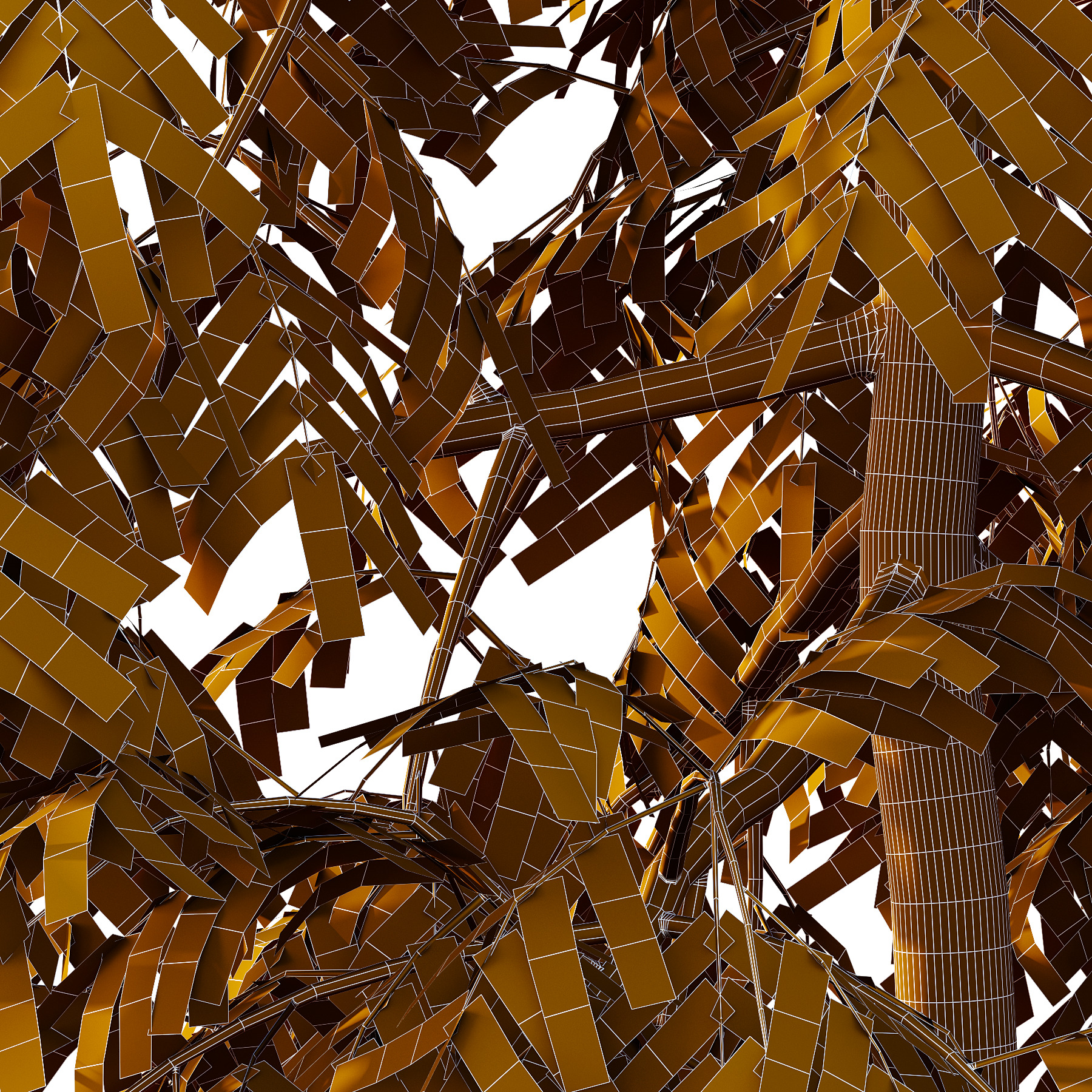 Bamboo Bambusoideae Tree 01 3D model_4