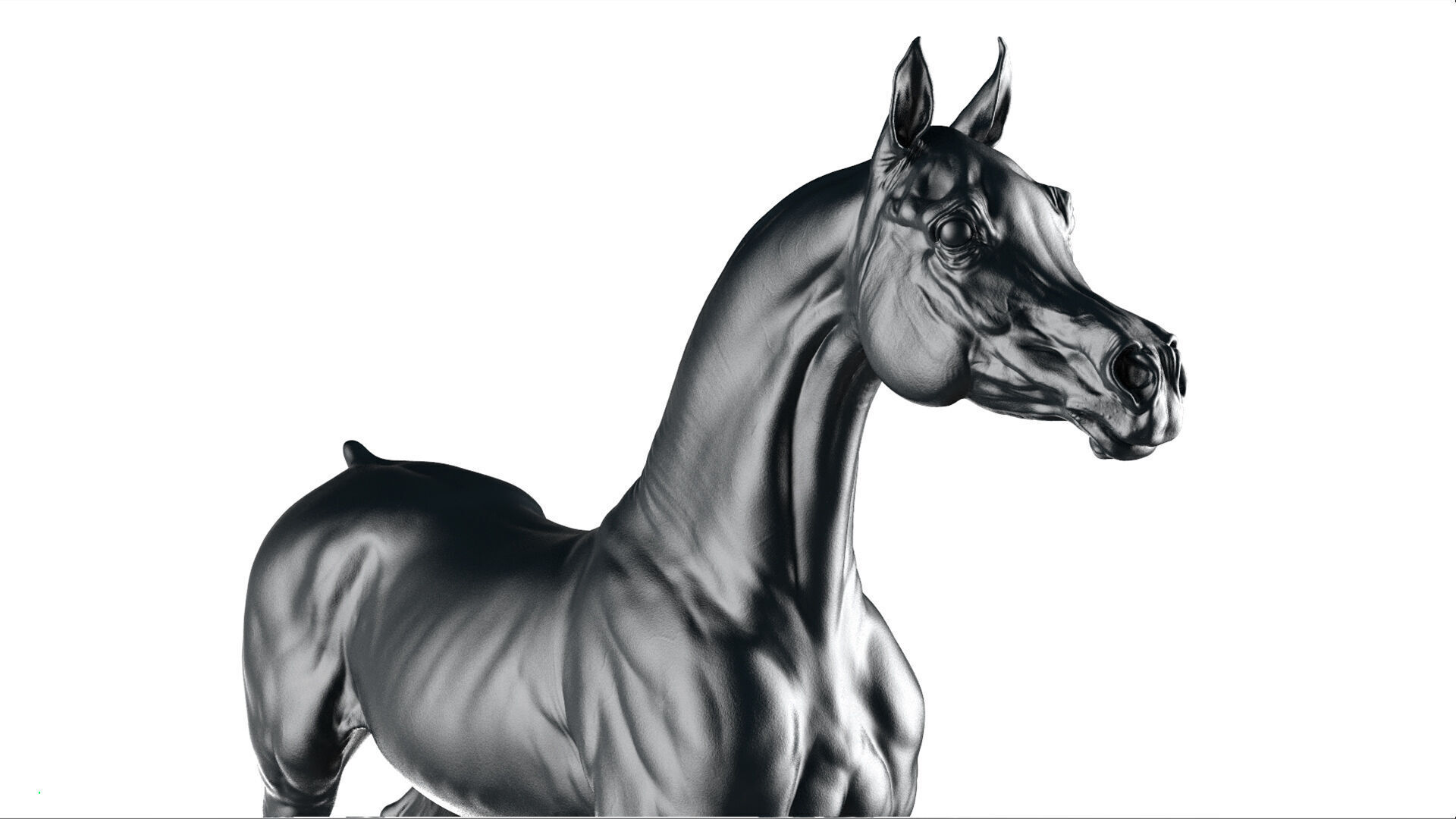 Horse Arabian  -  TPose 3D model_6