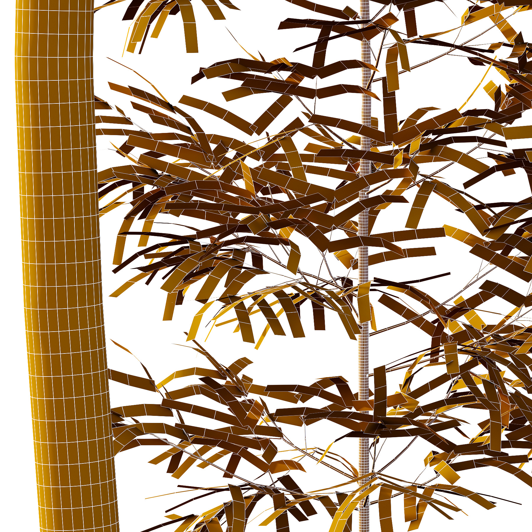Bamboo Bambusoideae Tree 03 3D model_3