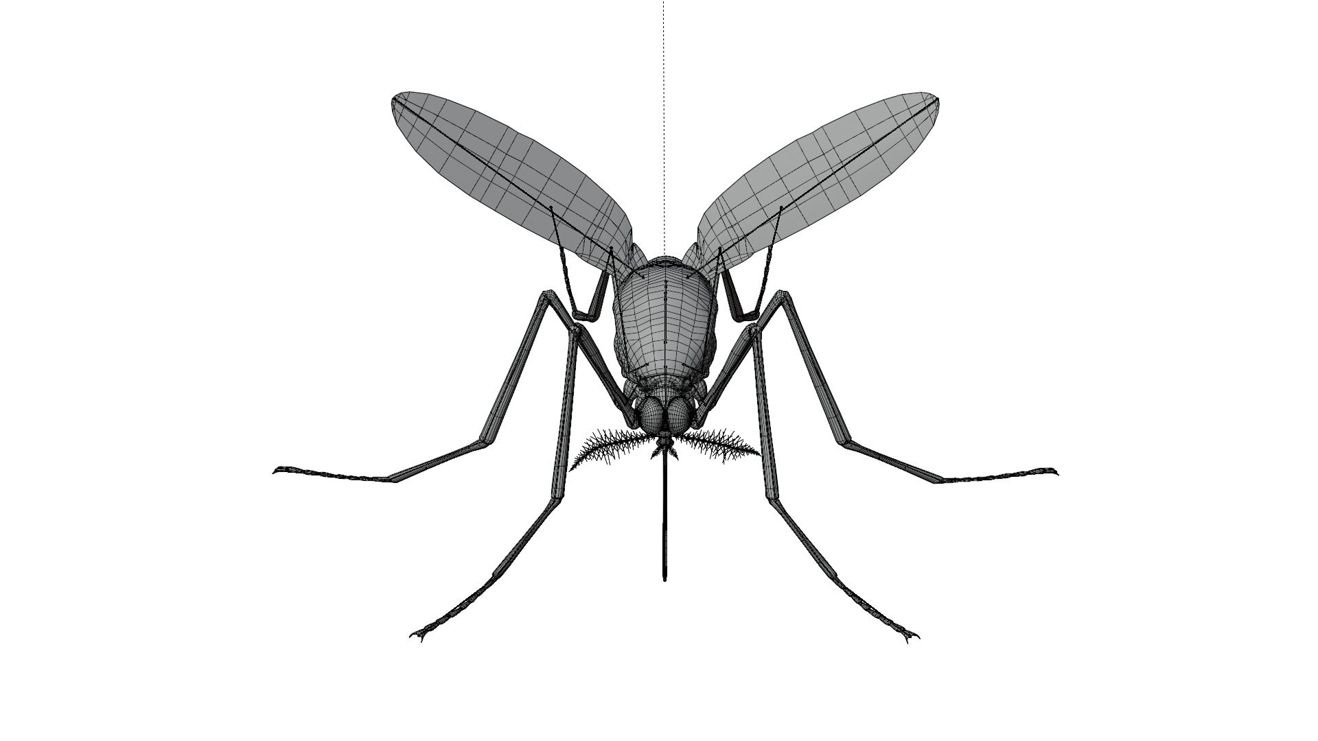 Realistic Mosquito 3D model_5