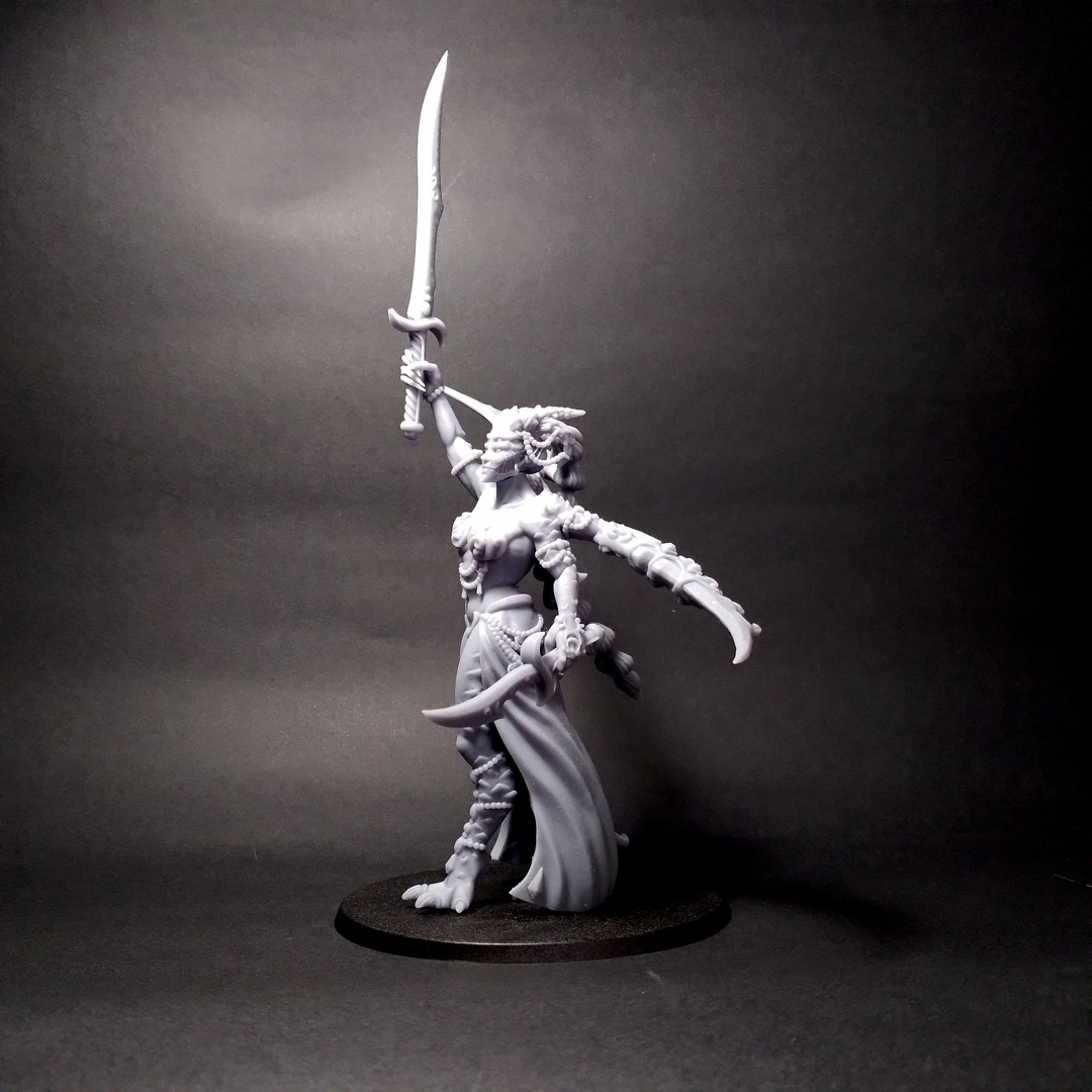 Champion Lord- Scourge Daemon - Multiple weapon options 3D print model_21