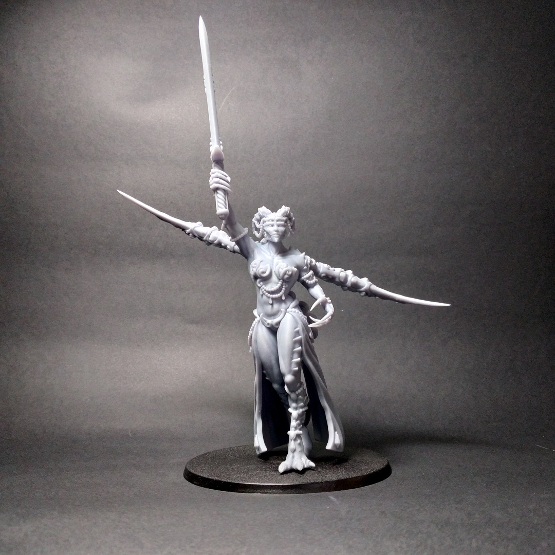 Champion Lord- Scourge Daemon - Multiple weapon options 3D print model_18