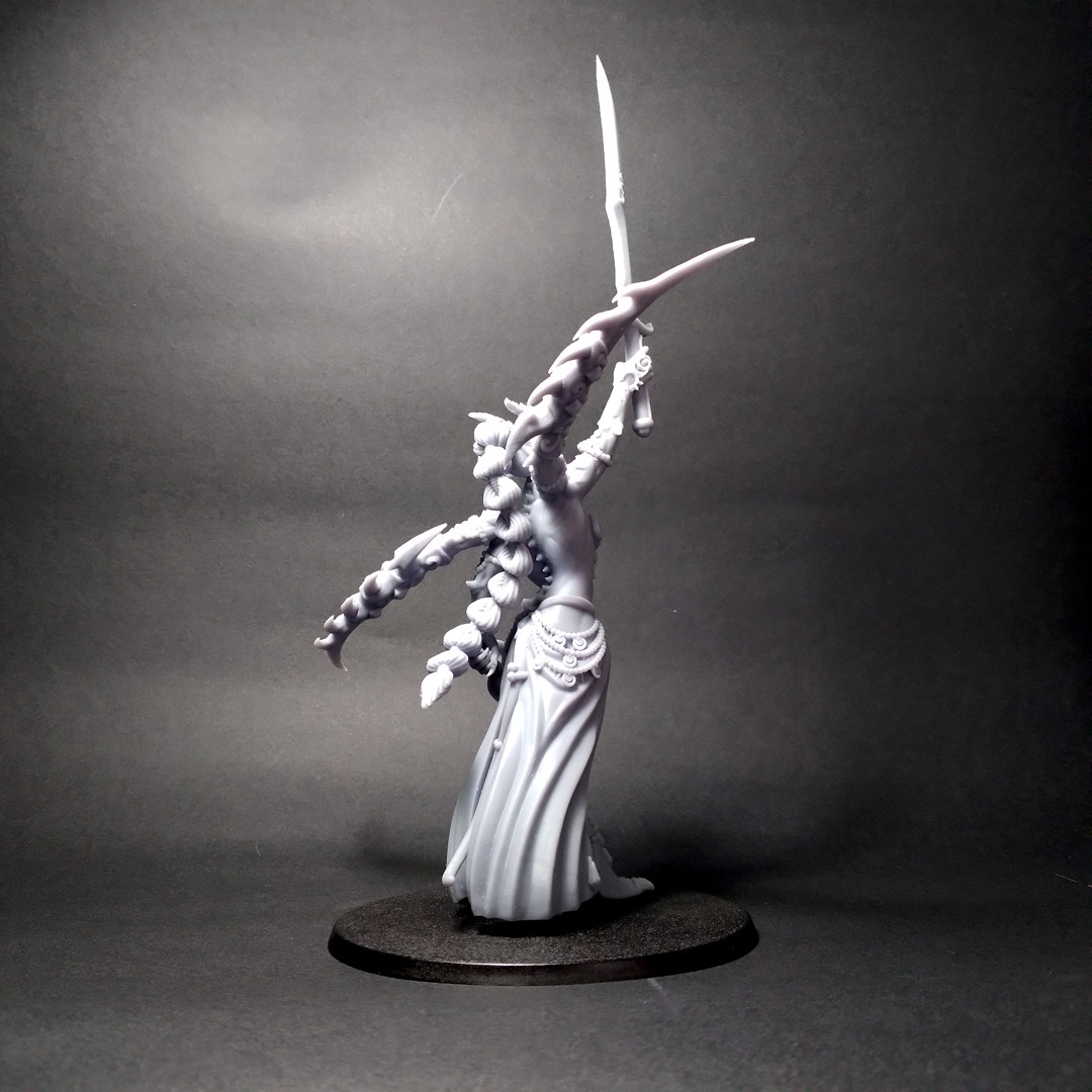 Champion Lord- Scourge Daemon - Multiple weapon options 3D print model_24