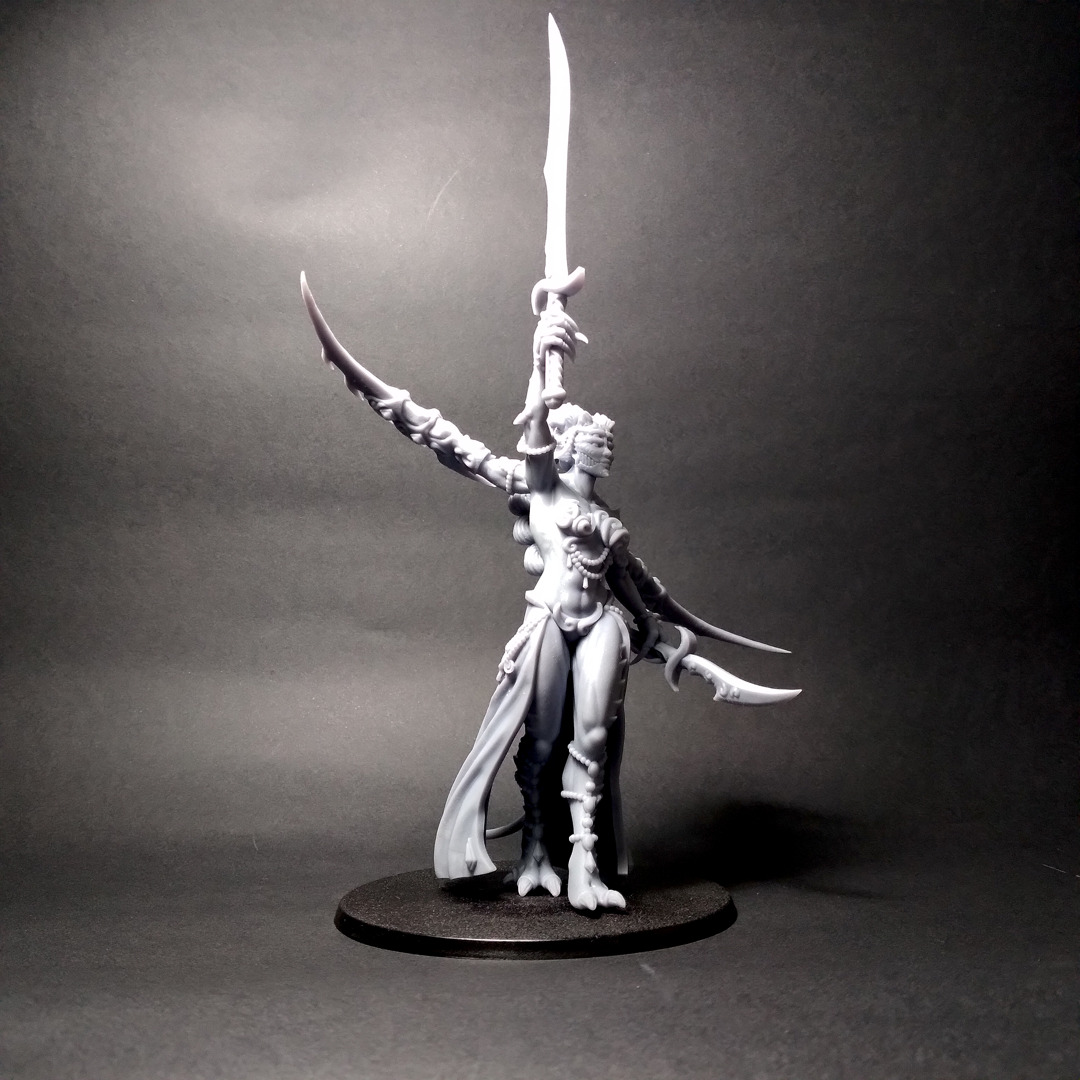 Champion Lord- Scourge Daemon - Multiple weapon options 3D print model_26