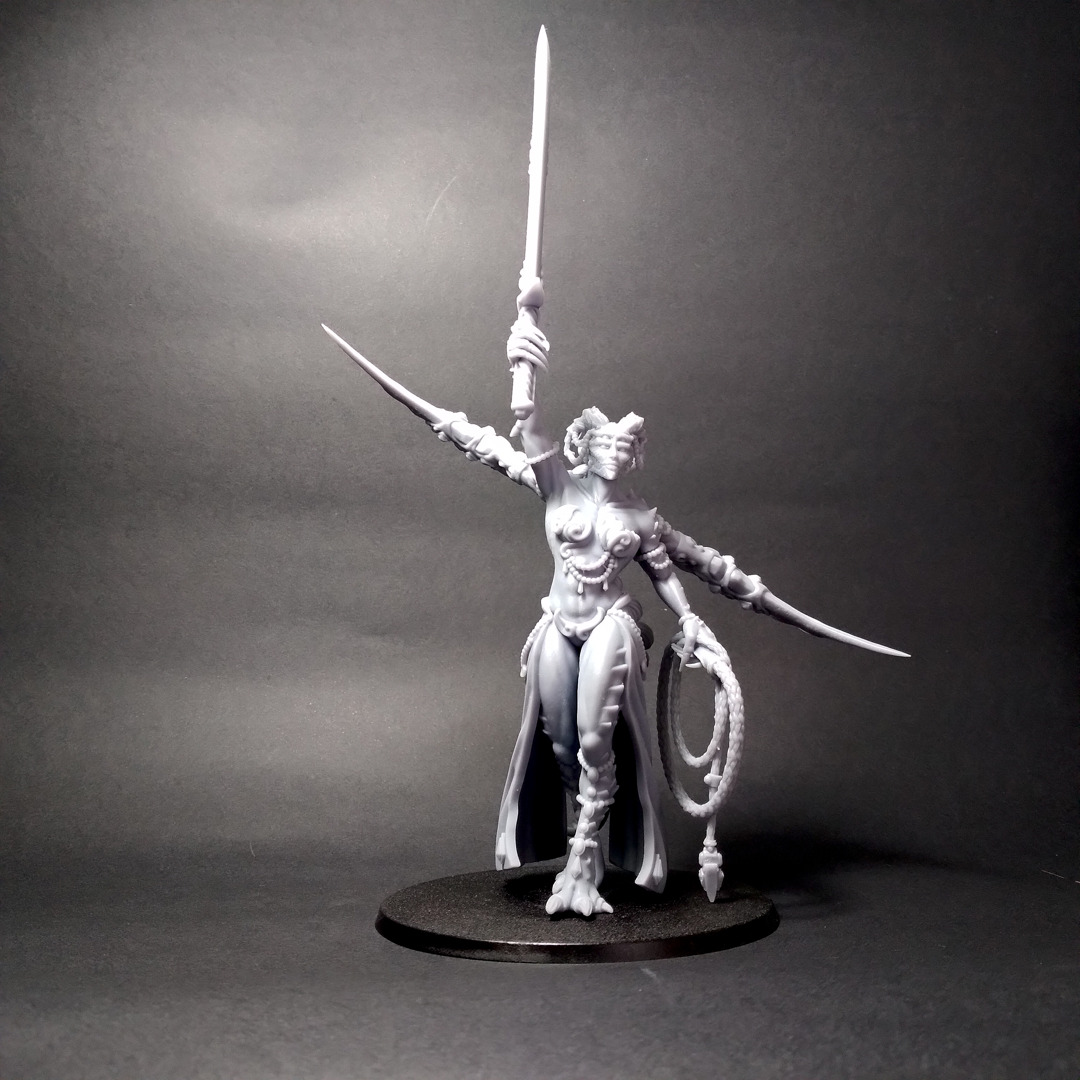 Champion Lord- Scourge Daemon - Multiple weapon options 3D print model_27