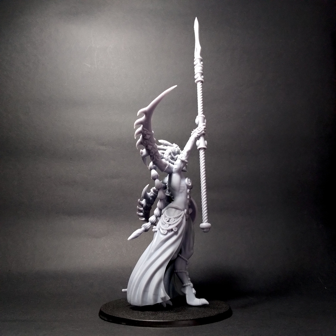 Champion Lord- Scourge Daemon - Multiple weapon options 3D print model_13
