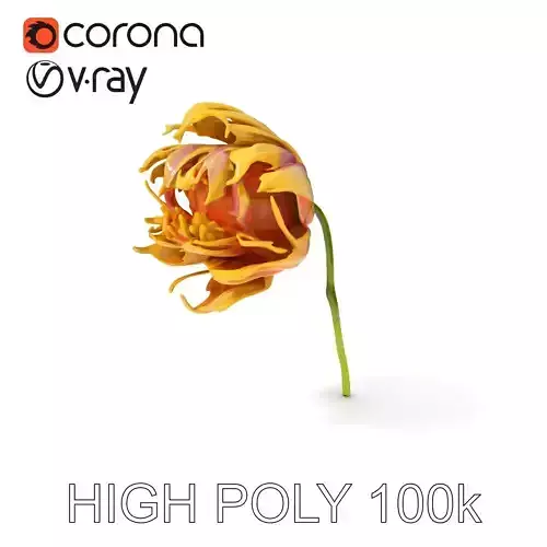 Elegant Bloom Model Pack  Dynamic Flower Collection