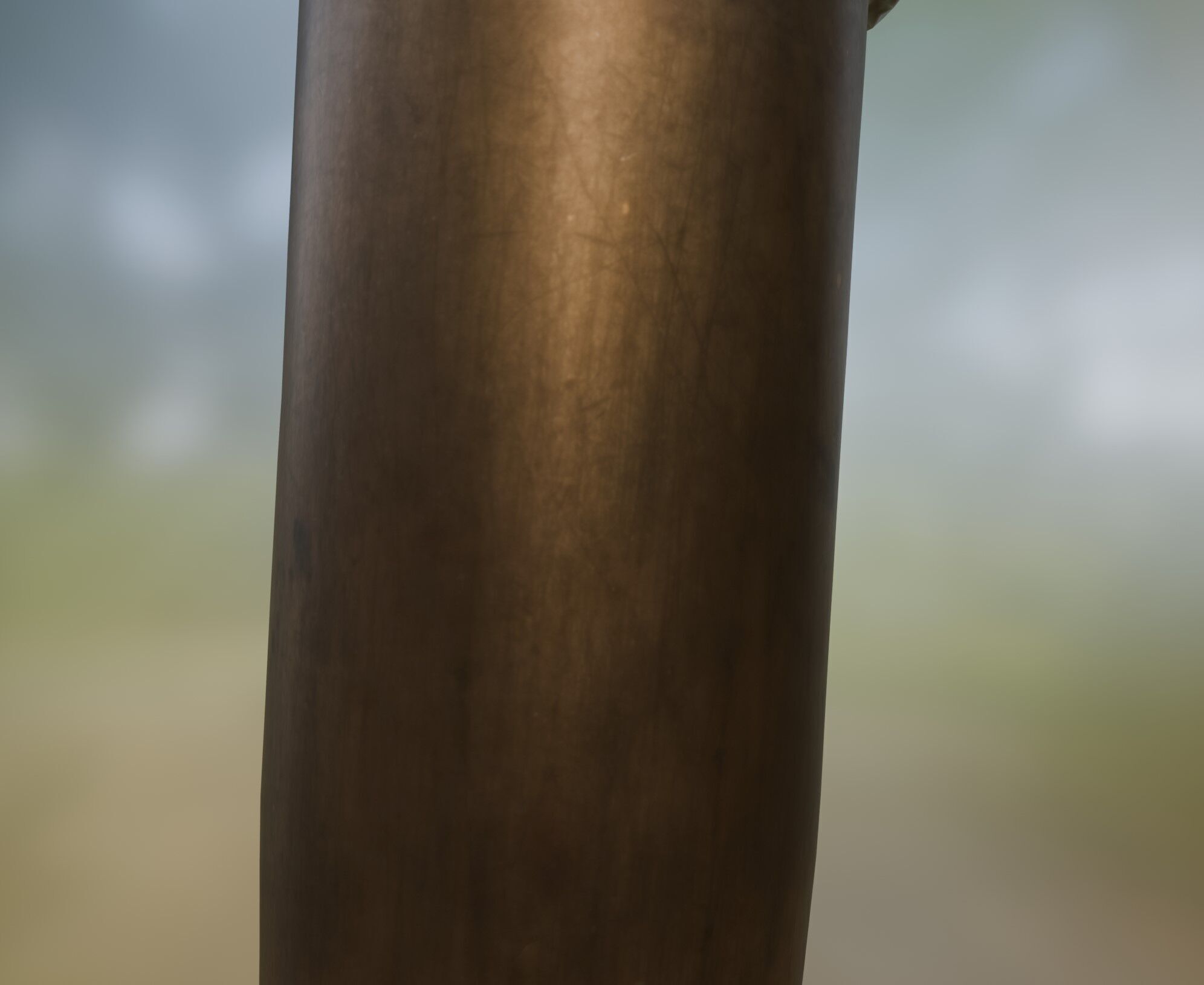 rifle bullet Low-poly 3D model_11