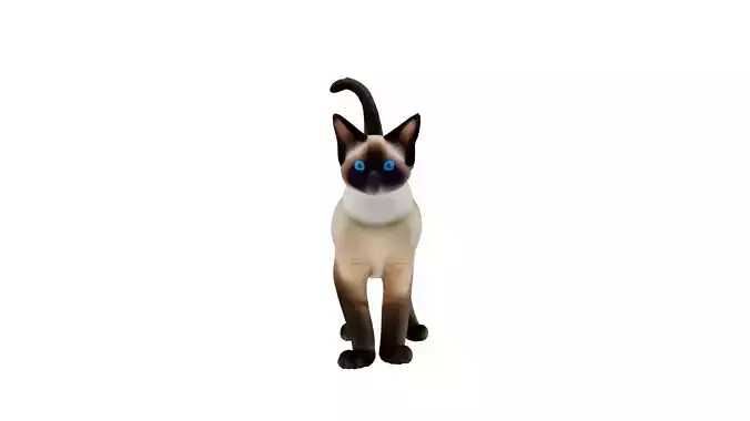 Realistic standing siamese cat with vivid blue eyes Free 3D model