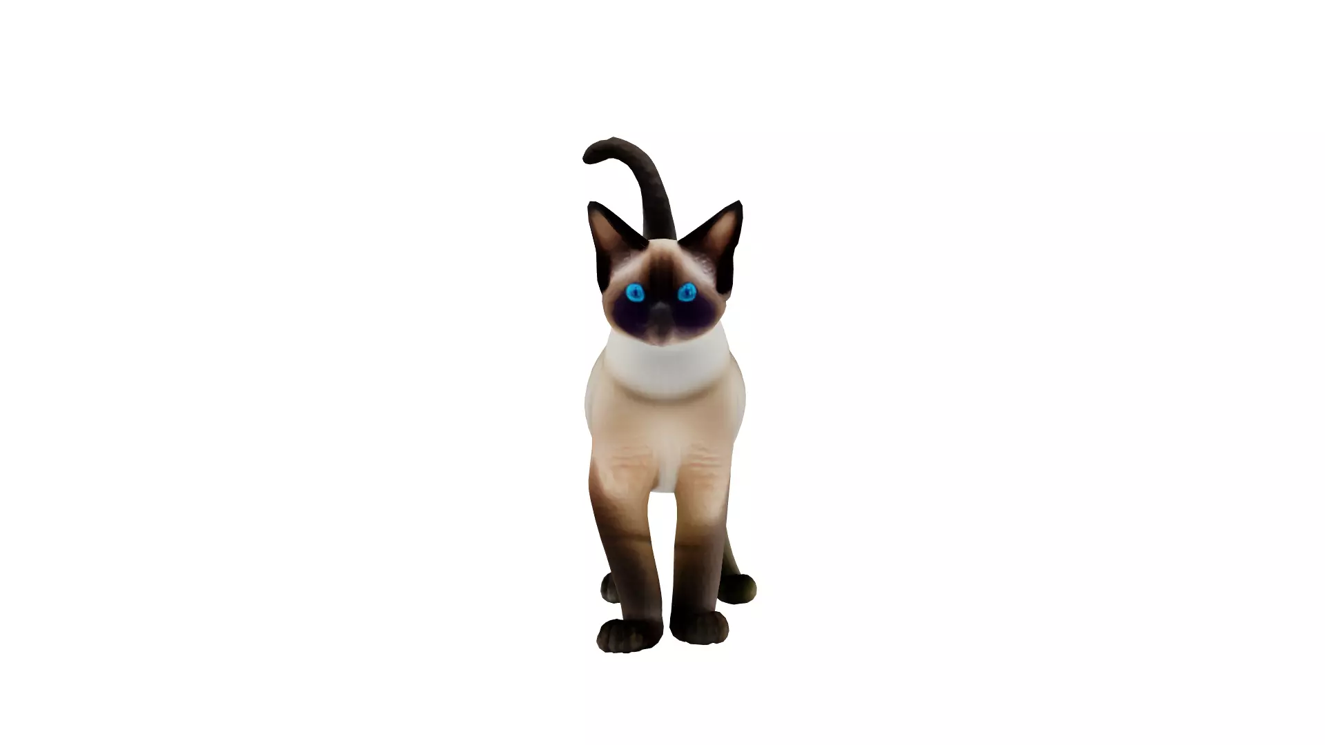 Realistic standing siamese cat with vivid blue eyes Free 3D model