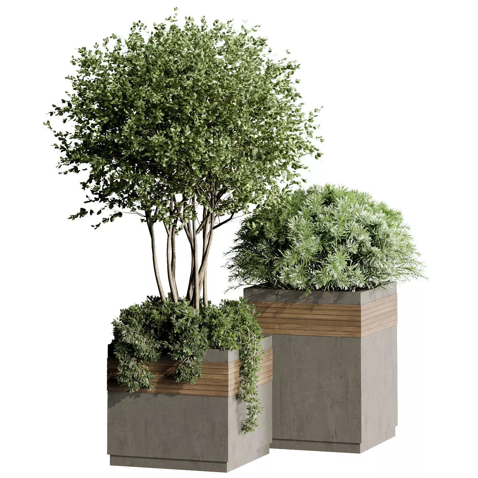 Outdoor Plant 31 3D model