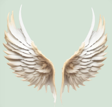 angles paired wings Low-poly 3D model_1