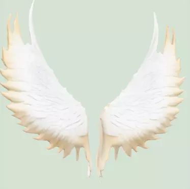 angles paired wings Low-poly 3D model_0