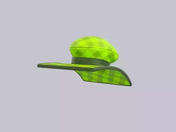 Hat508