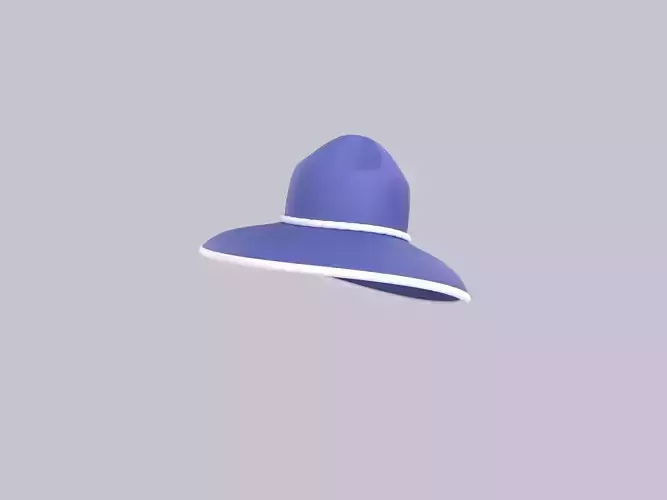 Hat528