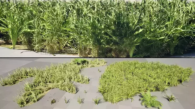 Realistic Grass Meadow and Clumps 