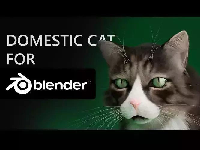 Realistic Domestic Cat for Blender 3D model