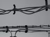 Cables corridor 3D model_3