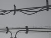 Cables corridor 3D model_4