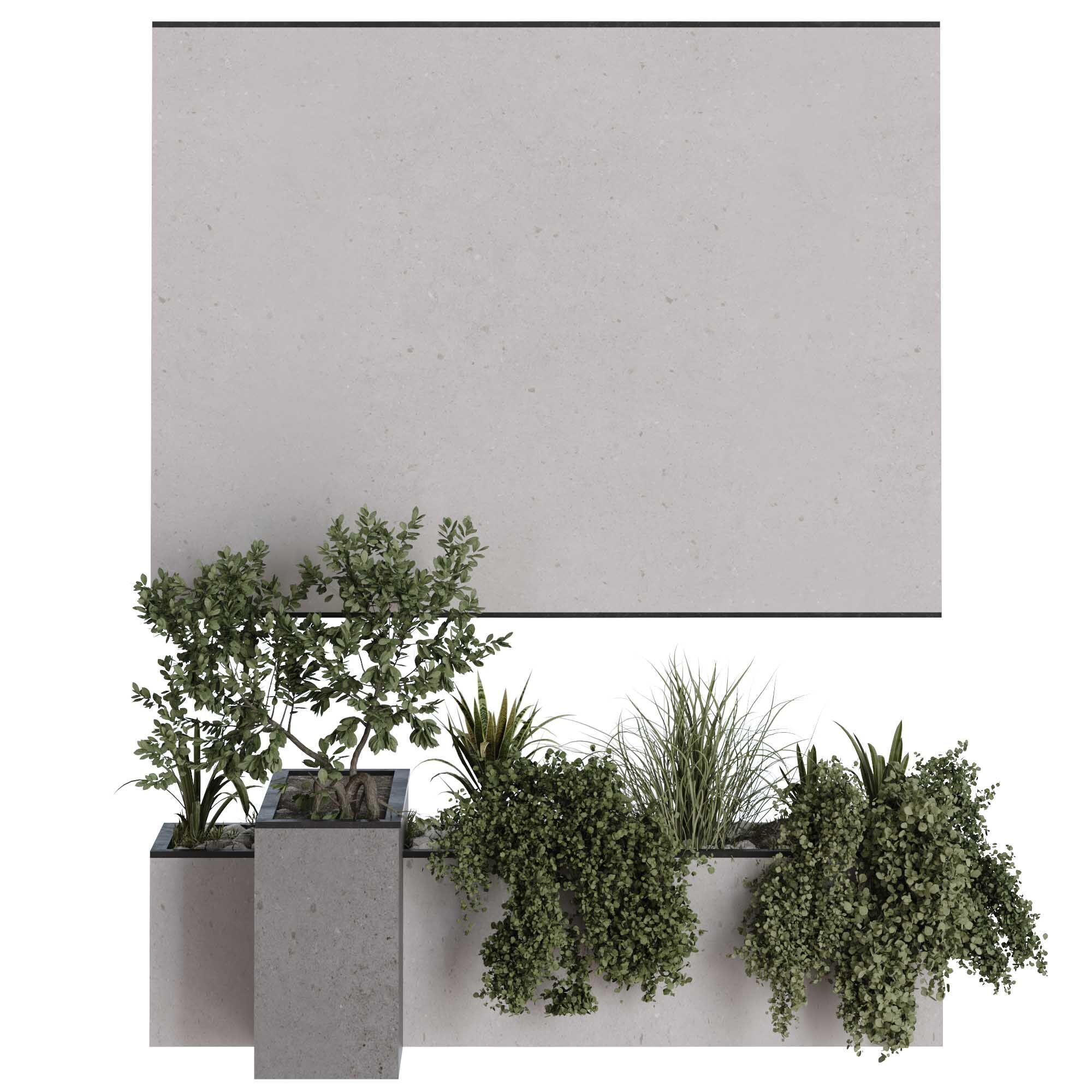 minimal vertical green plant in box set 524 3D model_6