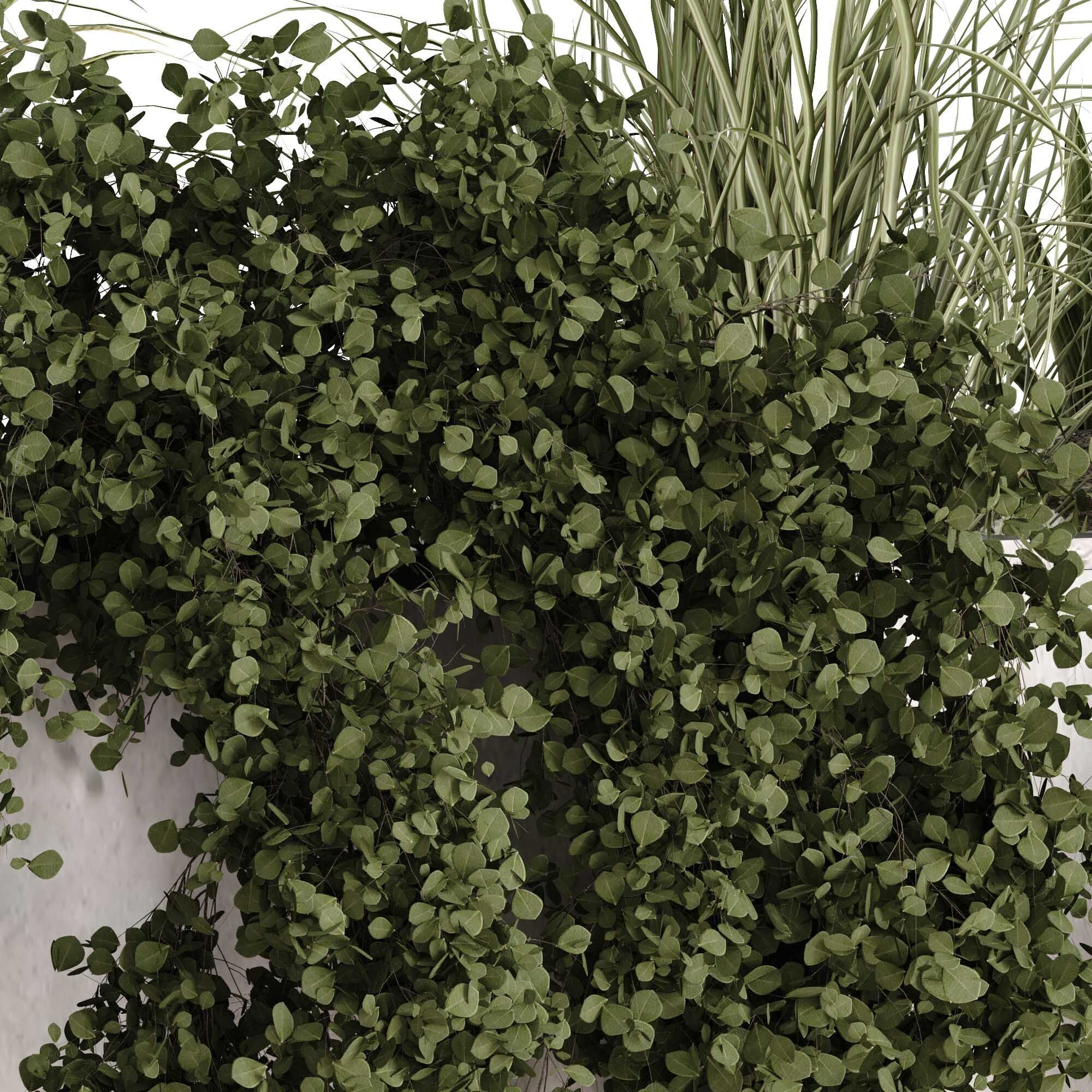 minimal vertical green plant in box set 524 3D model_2