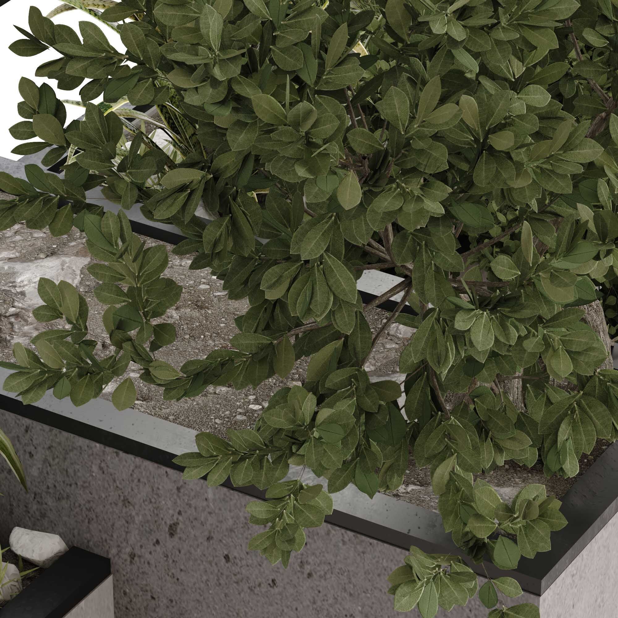 minimal vertical green plant in box set 524 3D model_4