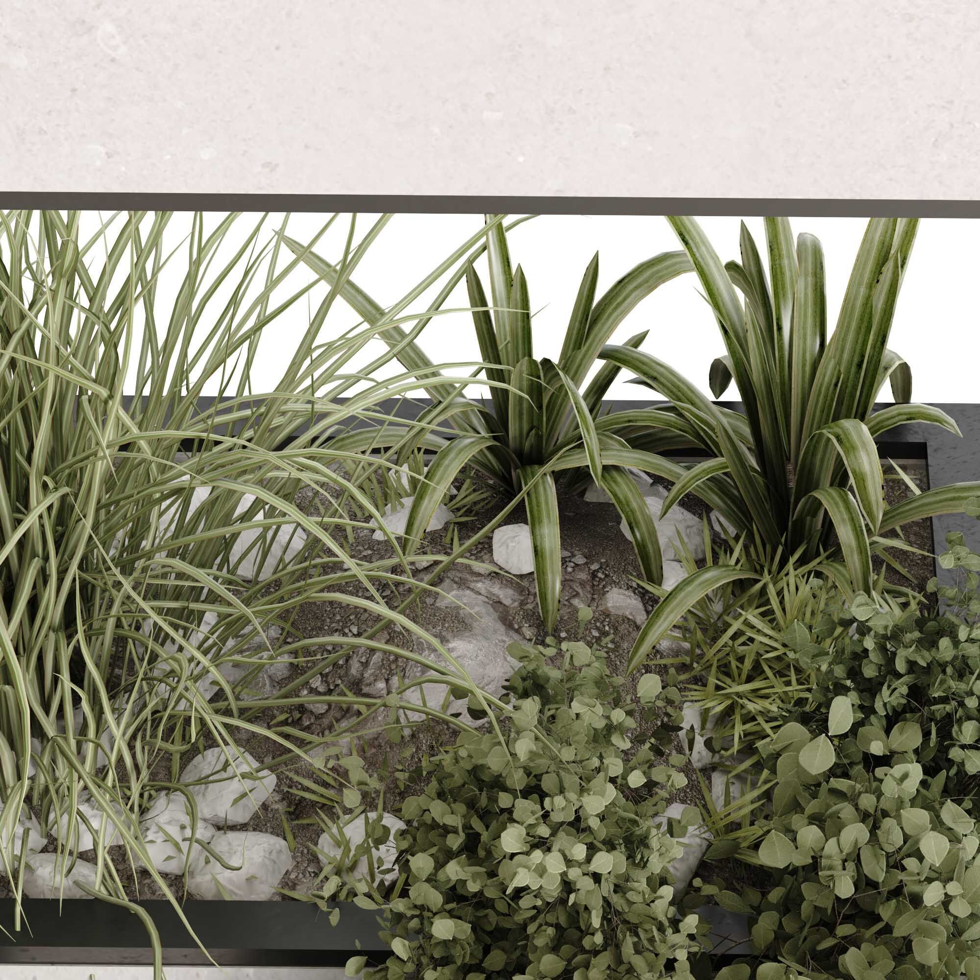 minimal vertical green plant in box set 524 3D model_3