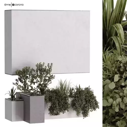 minimal vertical green plant in box set 524 3D model