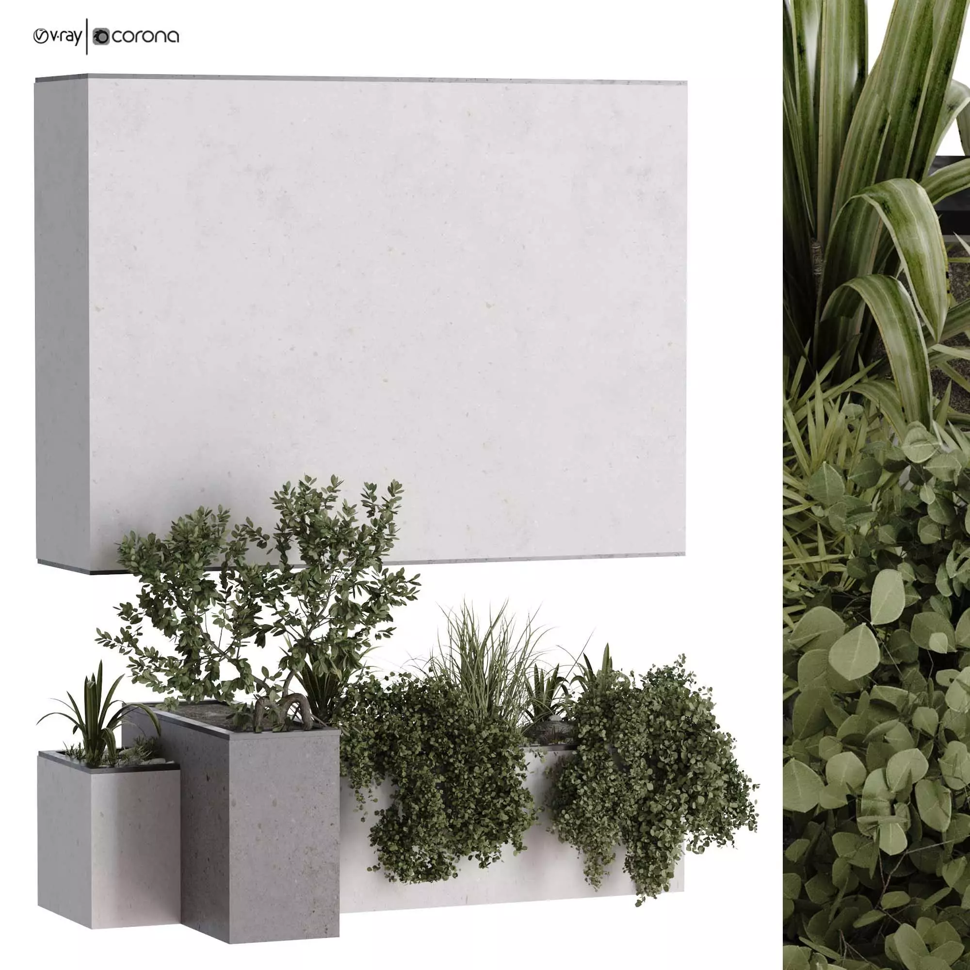 minimal vertical green plant in box set 524 3D model_0