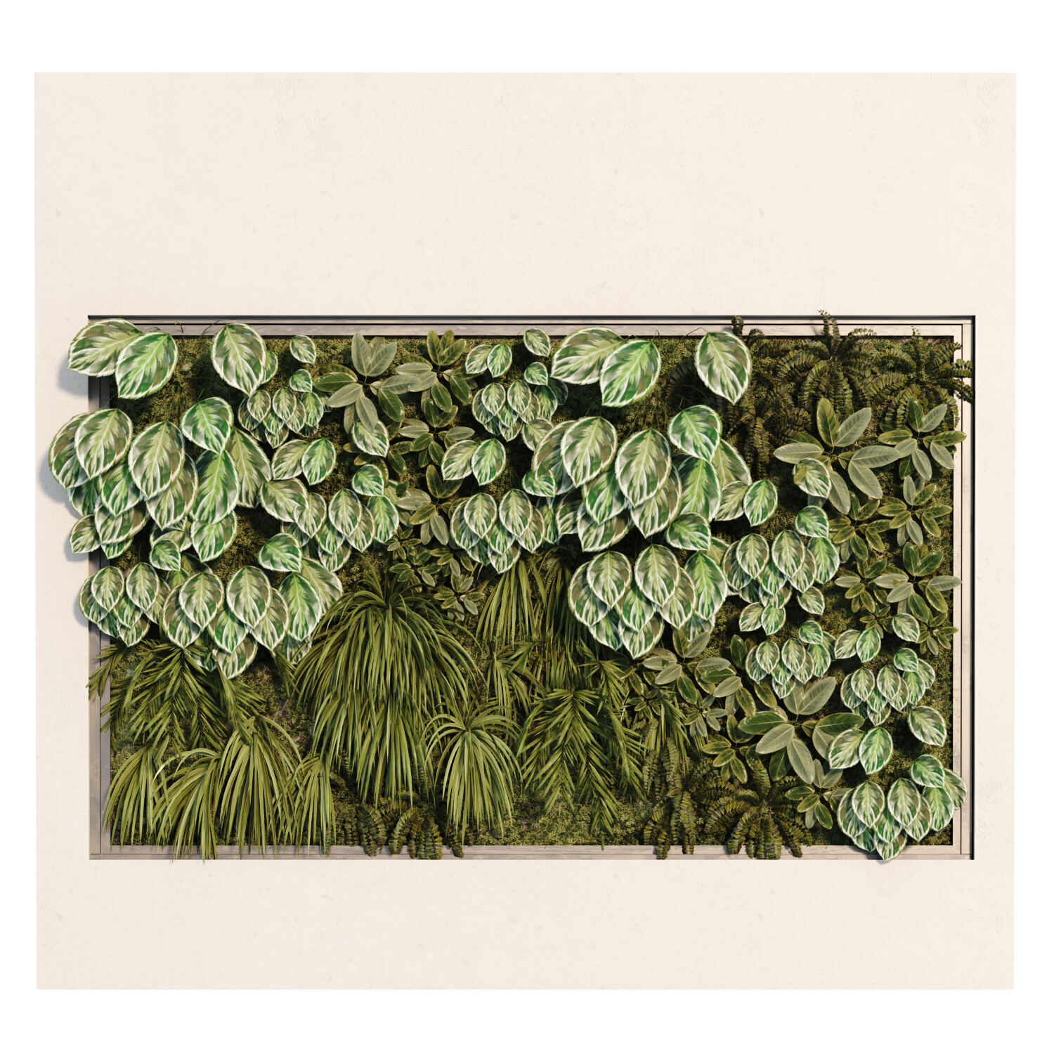 vertical plant in box green wall set 525 3D model_1