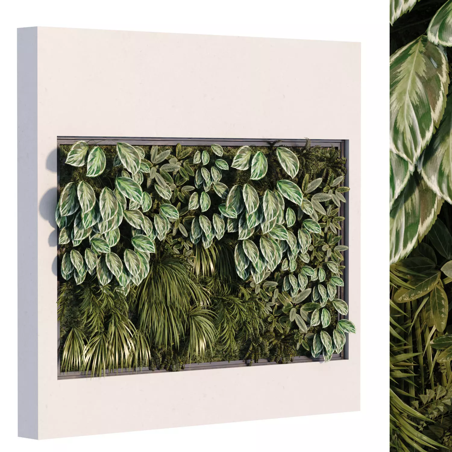 vertical plant in box green wall set 525 3D model_0