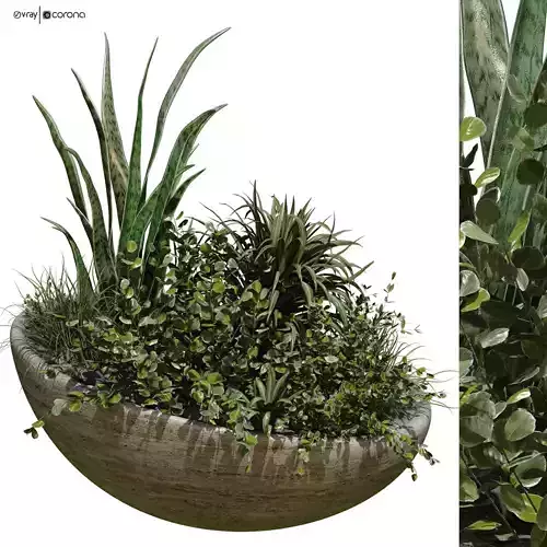 plant in vase set 526 3D model