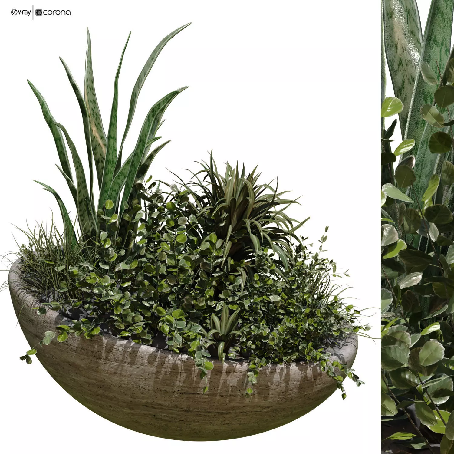 plant in vase set 526 3D model_0