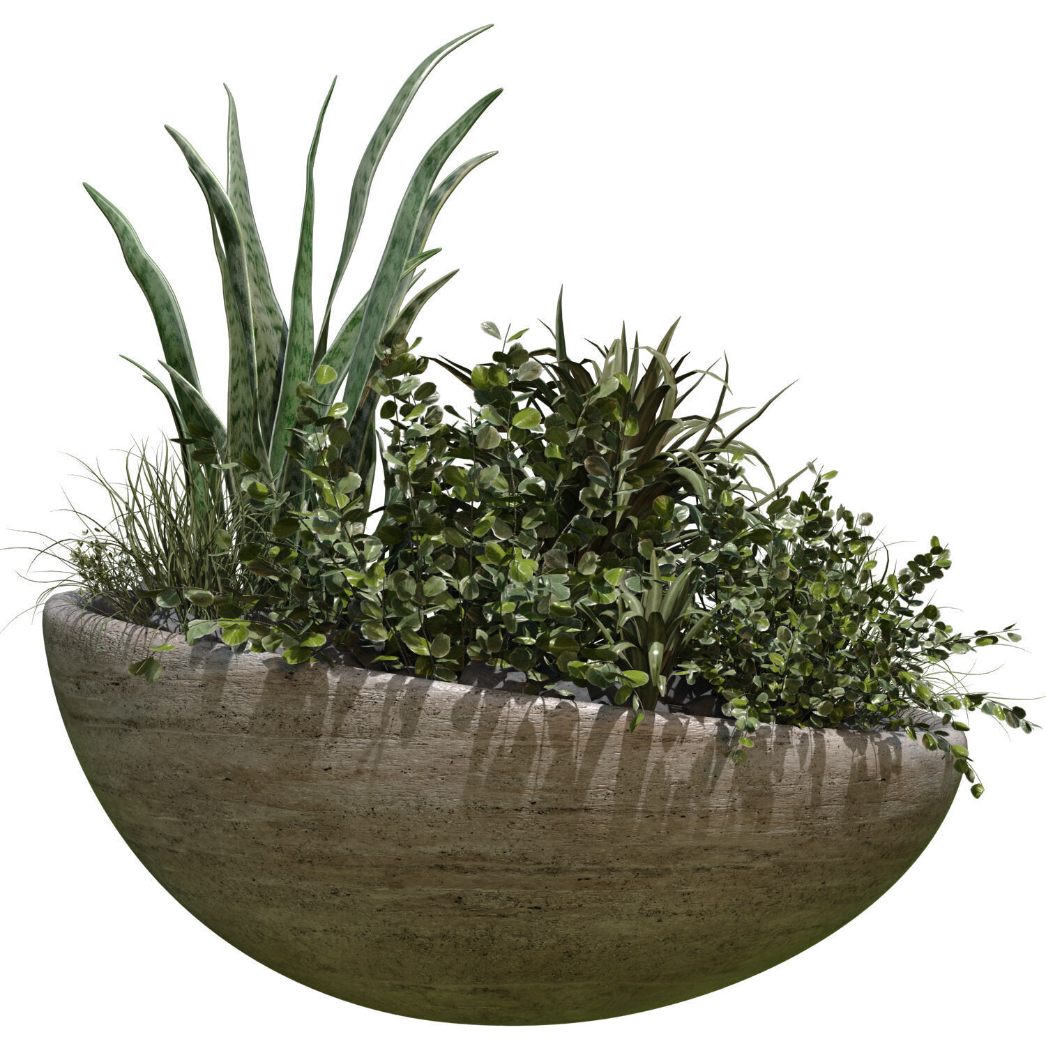 plant in vase set 526 3D model_1