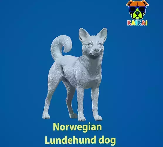 Norwegian Lundehund Dog - Norwegian Puffin Dog - 3D print 3D print model