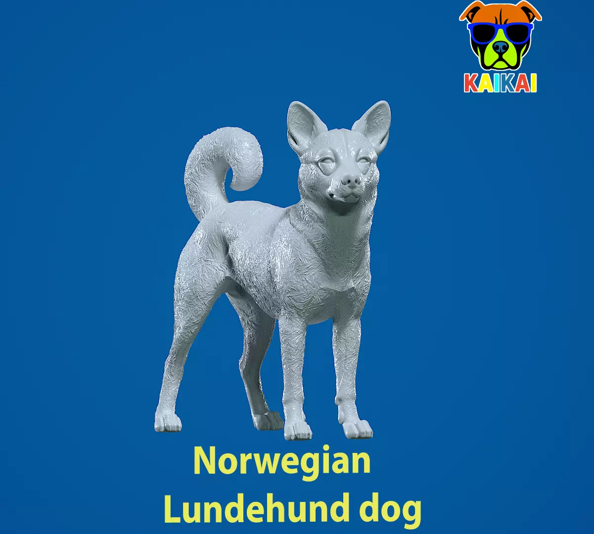 Norwegian Lundehund Dog - Norwegian Puffin Dog - 3D print 3D print model_0