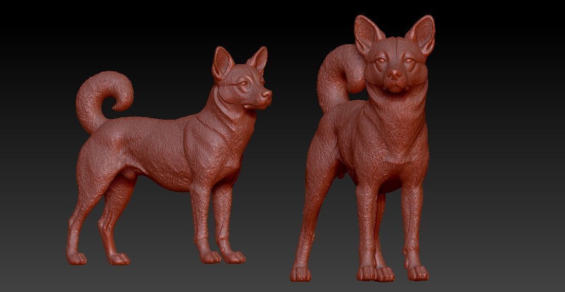 Norwegian Lundehund Dog - Norwegian Puffin Dog - 3D print 3D print model_1