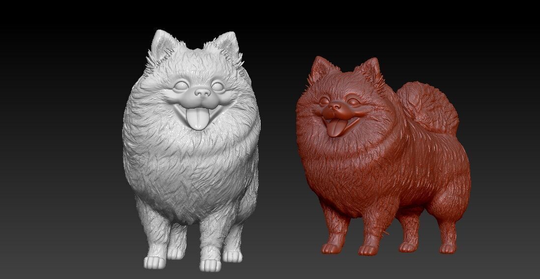 Pomeranian dog - German Toy Spitz Dog - 3D print 3D print model_1
