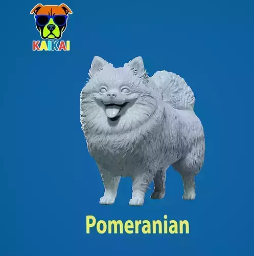 Pomeranian dog - German Toy Spitz Dog - 3D print 3D print model