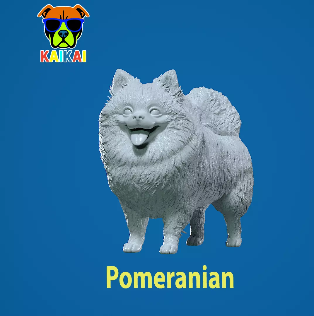 Pomeranian dog - German Toy Spitz Dog - 3D print 3D print model_0