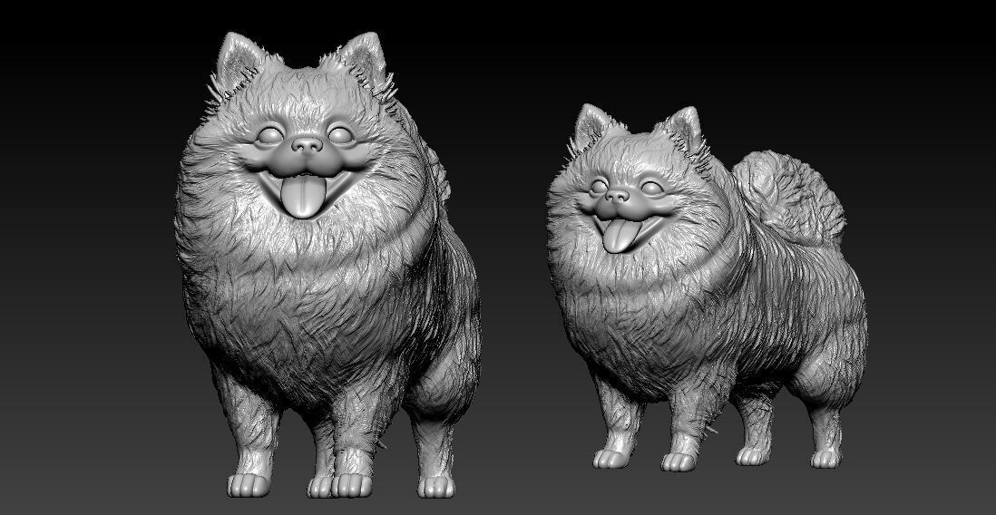 Pomeranian dog - German Toy Spitz Dog - 3D print 3D print model_2