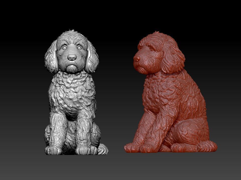 Goldendoodle Dog - Doodle Dog model - statue - 3D print 3D print model_1