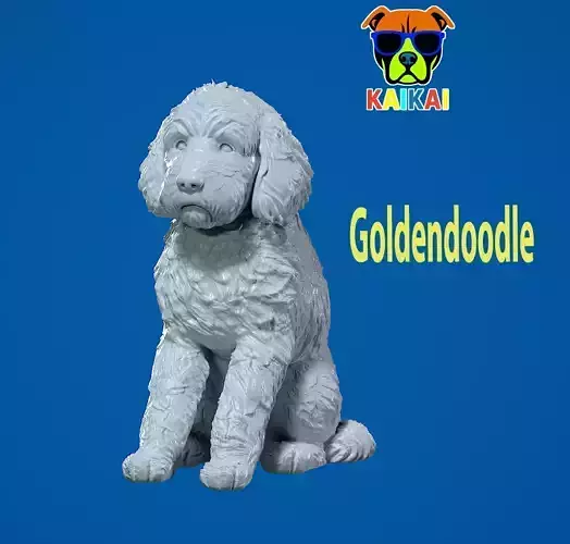 Goldendoodle Dog - Doodle Dog model - statue - 3D print 3D print model