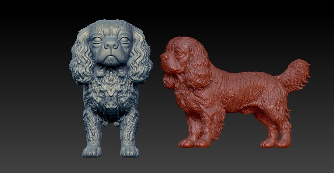 Cavalier King Charles Spaniel dog statue - decor - 3D print 3D print model_2