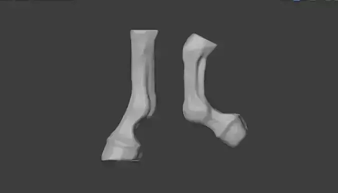 3D Horse Leg model in blender