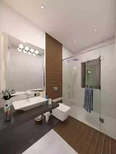 MASTER BATHROOM SKETCHUP VRAY SCENE DS001