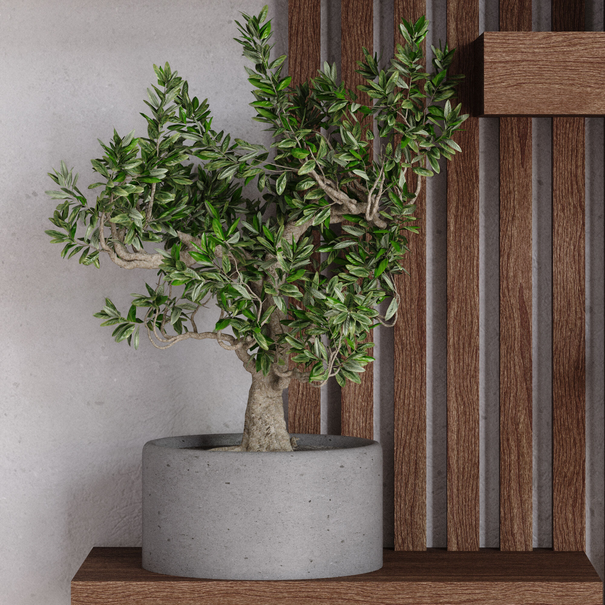 collection of plants in vase set 527 3D model_3